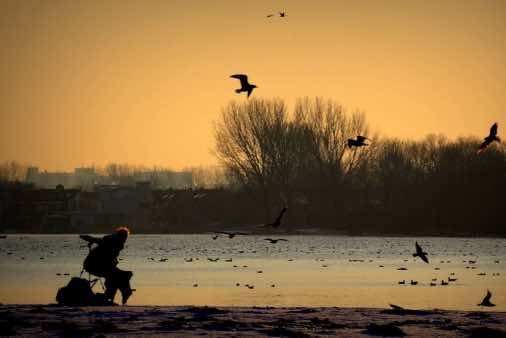 Gezond ouder worden? Ga vogels spotten!?
