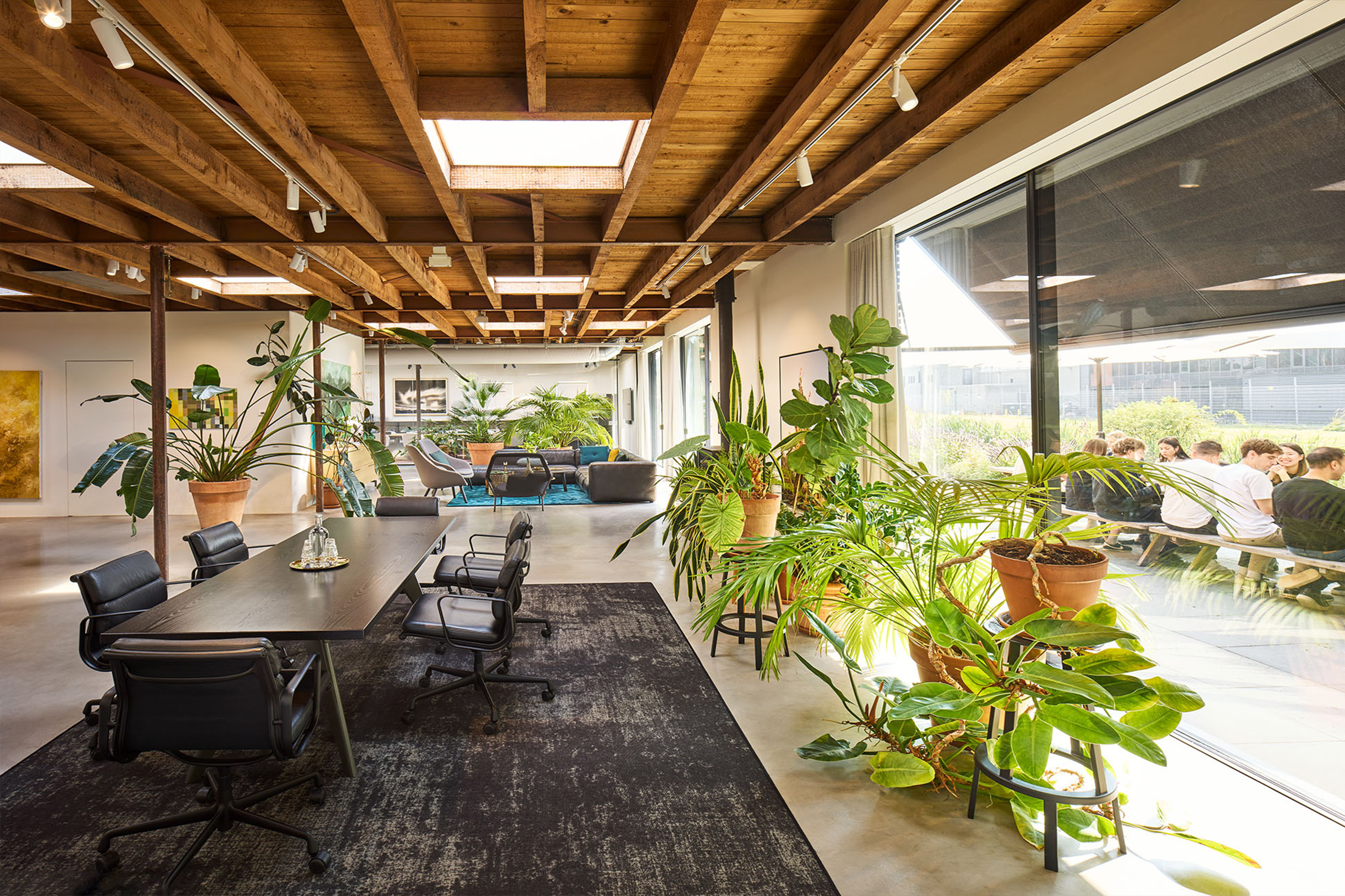 Amsterdam office terrace